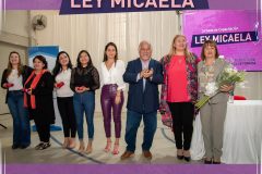 redes ley micaela