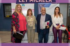 redes ley micaela