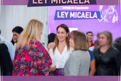 redes ley micaela